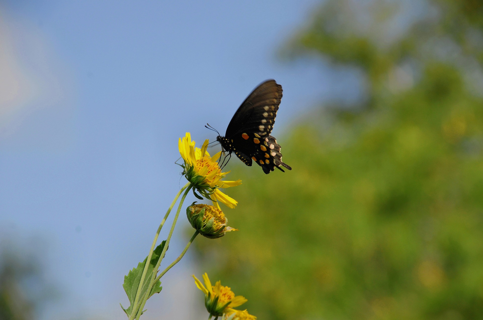 一些有趣的博客集合