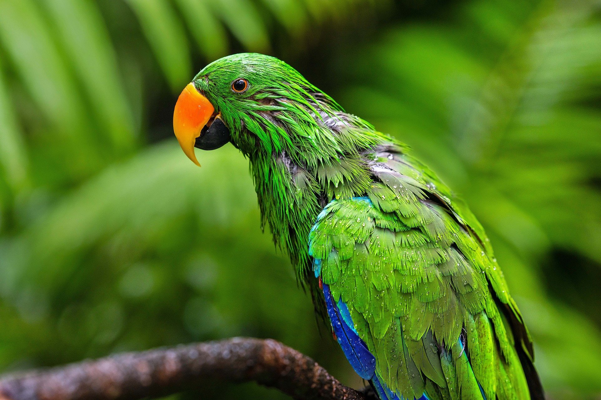 Git的一些使用方法