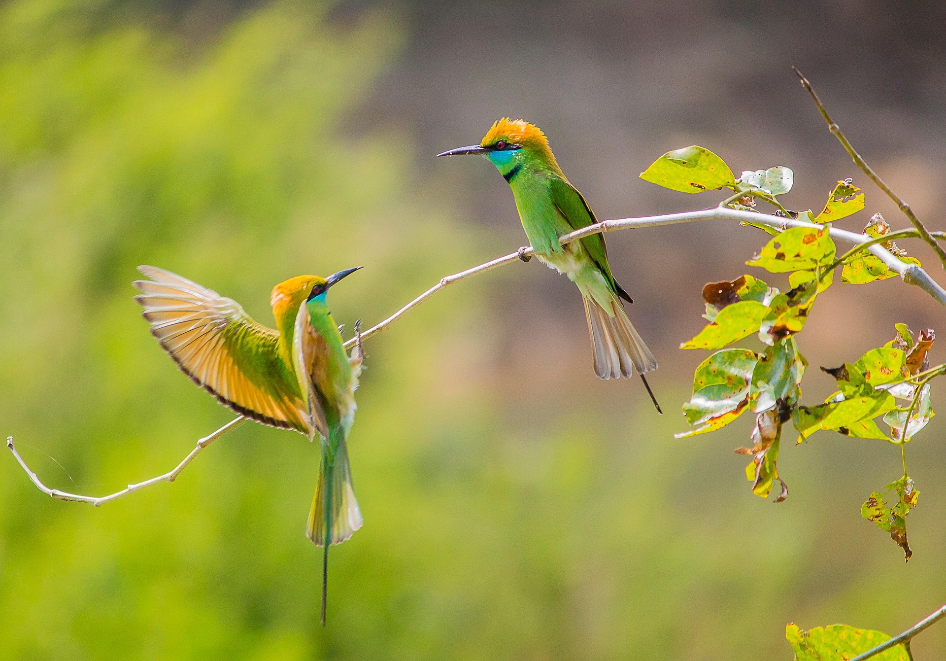 免费壁纸网站大全